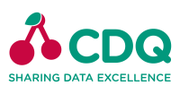 Cdq ag - enabling data excellence