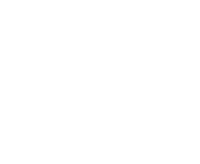 Shine global