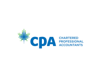 Standard practice professional chartered accountant