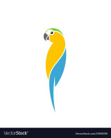 Blue macaw group