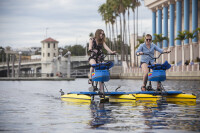 Tampa Bay Water Bike Company