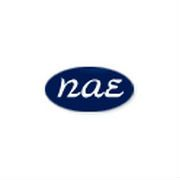 Napino Auto & Electronics Ltd.