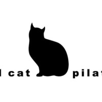 Bad cat pilates