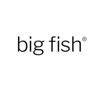 Big fish consult