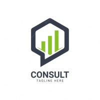 Due consulting