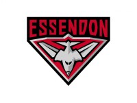 Essendon group