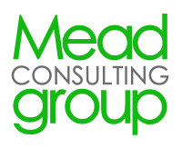 Mead consulting