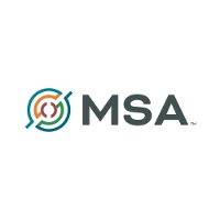 Msa professional services