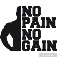 Big gains no pains ltd