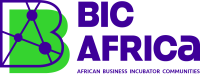 Business incubation program africa