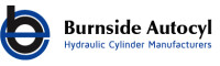 Burnside business analysis ltd