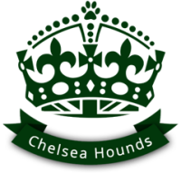 Chelsea hounds
