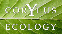 Corylus ecology limited