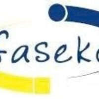 Faseko limited