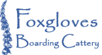 Foxgloves boarding cattery