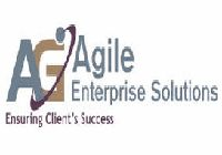 Agile enterprise solutions inc
