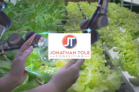 Jonathan tole consulting limited