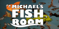 Michael fish
