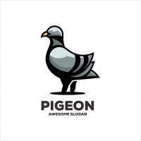 Pigeon promotions