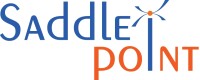 Saddle point technologies uk