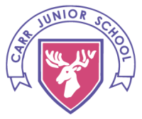 Carr junior school