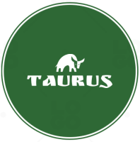 Taurus computers