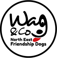 Wag & company, north east friendship dogs limited