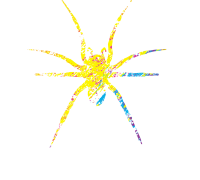 Yellow spider media