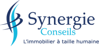 Synergie conseils