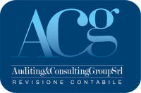 Acg audit consulting group