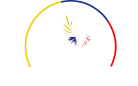 Academia maritza arizala