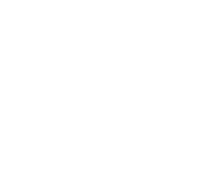 Société pyrénéenne de métallurgie