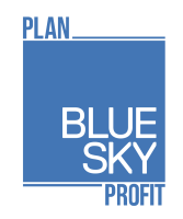 Bluesky ideas consulting