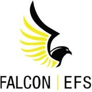 Falcon | efs flowback services