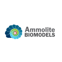 Ammolite biomodels