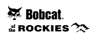 Bobcat of the rockies