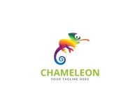 Chameleon arts studio