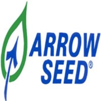 Arrowseed