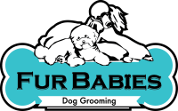 Furbabies pet grooming