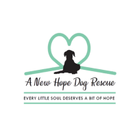 New hope dog rescue