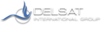 Delsat international group