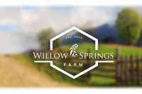 Spring willow farm