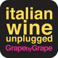Italian wine book
