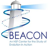 Beacon center
