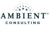 Ambient consulting