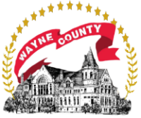 Wayne county in government