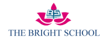The bright school