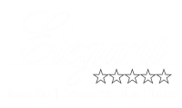 Elegant limousine and charter