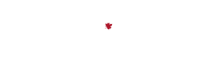 Turner investment partners