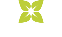 Beechwood Trees and Landscapes Ltd